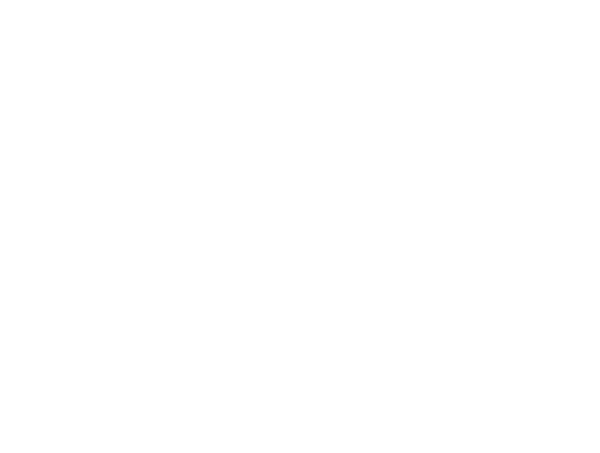 DP Open